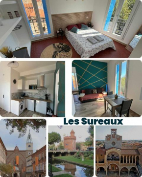 cosy T2- Les sureaux